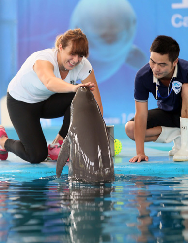 历将成为她 历将成为她